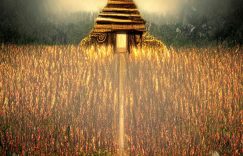 淘宝抖音涨粉违规吗_淘宝抖音涨粉合规吗?缩略图 淘宝抖音涨粉违规吗_淘宝抖音涨粉合规吗?缩略图