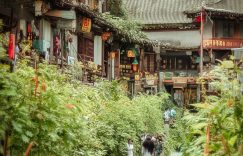 抖音快速涨粉合集怎么弄_抖音涨粉技巧解析缩略图