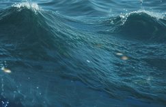 小红书如何下沉粉丝_如何吸引小红书下沉粉丝？缩略图