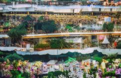 抖音 男生涨粉网名大全_抖音男生涨粉网名推荐缩略图