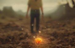 ppt文件怎么发小红书粉丝_小红书粉丝增长秘诀分享缩略图