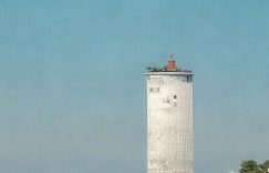 小红书在哪里关闭点赞的_如何在小红书上取消点赞？缩略图