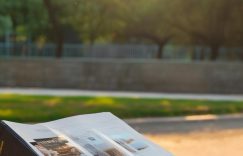 小红书怎么涨粉的快_小红书快速增粉秘诀缩略图