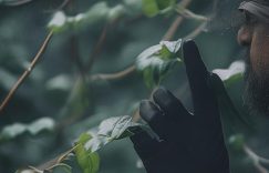 小红书私密视频怎么取消点赞_小红书私密视频点赞撤销缩略图 小红书私密视频怎么取消点赞_小红书私密视频点赞撤销缩略图