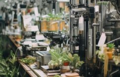 小红书1千粉丝和5千粉丝_粉丝差距：千与五千缩略图