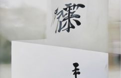 单依纯小红书多少粉丝_单依纯小红书粉丝数多少？缩略图