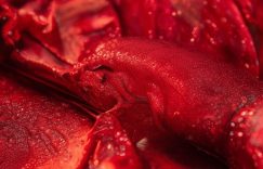 小红书12级粉丝_小红书12级粉丝是?缩略图 小红书12级粉丝_小红书12级粉丝是?缩略图