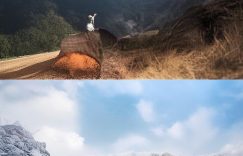 0粉丝0基础小红书_小红书零粉丝起步指南？缩略图