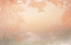 1000个粉丝小红书_小红书粉丝破千秘籍？缩略图