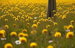 小红书多少粉丝开蒲公英_小红书开蒲公英粉丝数多少?缩略图 小红书多少粉丝开蒲公英_小红书开蒲公英粉丝数多少?缩略图