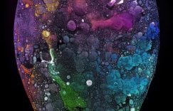 小红书各阶段粉丝数量比例_小红书粉丝比例分布特点缩略图