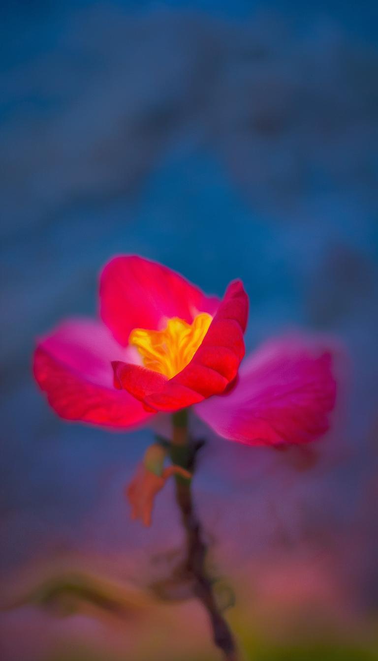 抖音投什么涨粉很快_抖音内容投放策略,快速增粉秘诀插图 抖音投什么涨粉很快_抖音内容投放策略,快速增粉秘诀插图