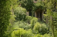 小红书十七八万粉丝_小红书粉丝数17-18万?缩略图 小红书十七八万粉丝_小红书粉丝数17-18万?缩略图