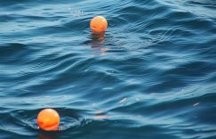 小红书初级达人粉丝数_小红书新晋达人粉丝增长?缩略图 小红书初级达人粉丝数_小红书新晋达人粉丝增长?缩略图