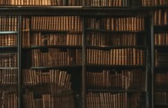 小红书好久不更新掉粉丝_小红书长期不更新致粉丝流失？缩略图