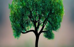 抖音投100涨粉300_抖音100元涨粉300可行吗？缩略图