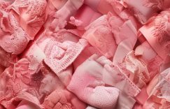 小红书为什么内衣粉丝少_小红书内衣粉丝稀少原因？缩略图