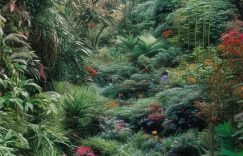 小红书怎么监测粉丝数量_如何查看小红书粉丝数缩略图