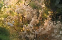 小红书怎么给粉丝推广_如何在小红书上吸粉推广?缩略图 小红书怎么给粉丝推广_如何在小红书上吸粉推广?缩略图