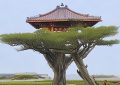 小红书粉丝数多少算多_小红书粉丝量标准缩略图