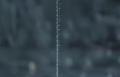 小红书至少五百粉丝_小红书粉丝500+?缩略图 小红书至少五百粉丝_小红书粉丝500+?缩略图
