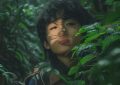 小红书粉丝数据怎么找到_小红书粉丝数据查找方法缩略图