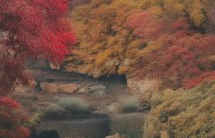 微信视频号直播前景_微信视频号直播何去何从?缩略图 微信视频号直播前景_微信视频号直播何去何从?缩略图