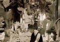 视频号有没有前景_视频号发展潜力如何？缩略图